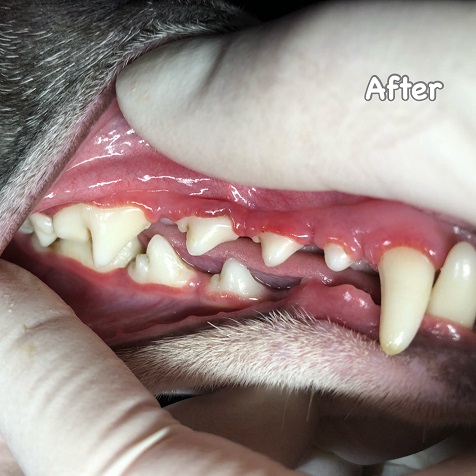 After After