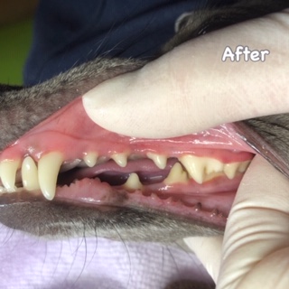 After After