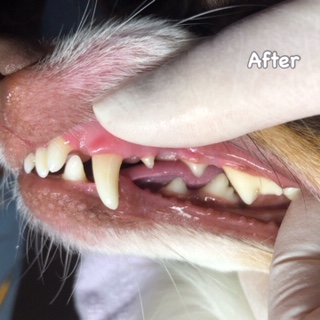 After After