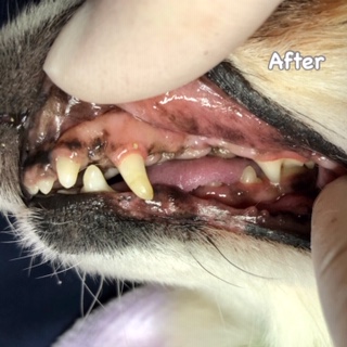 After After