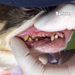 Before Before