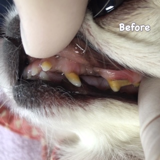 Before Before