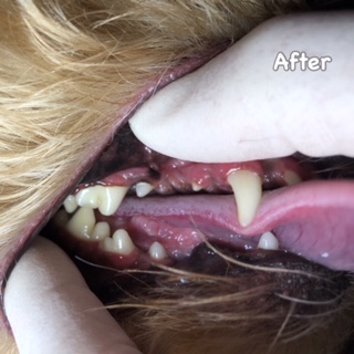 After After