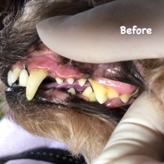 Before Before