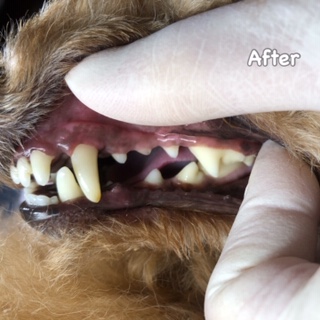 After After