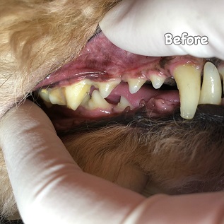 Before Before