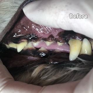 Before Before