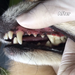 After After