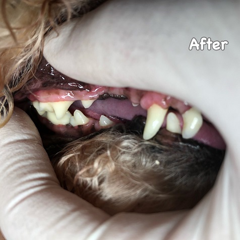 After After