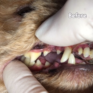 Before Before
