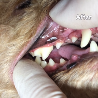After After