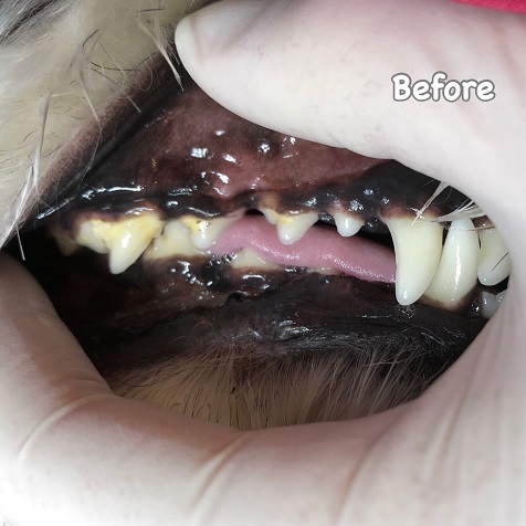 Before Before