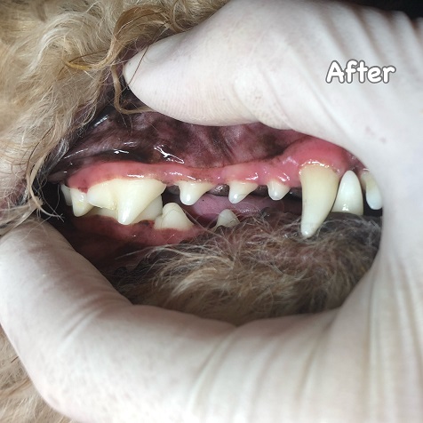 After After