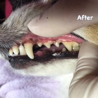 After After
