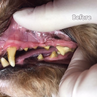 Before Before