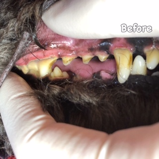 Before Before