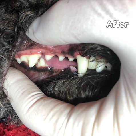 After After