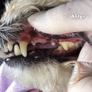 After After