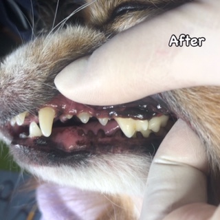 After After