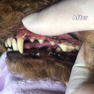 After After