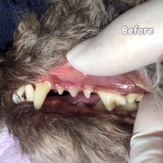 Before Before