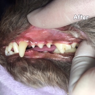 After After