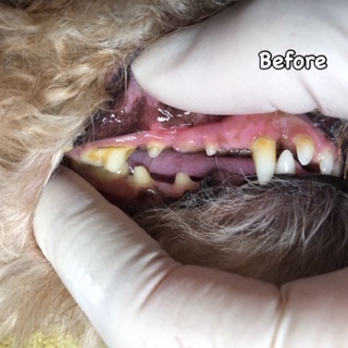 Before Before