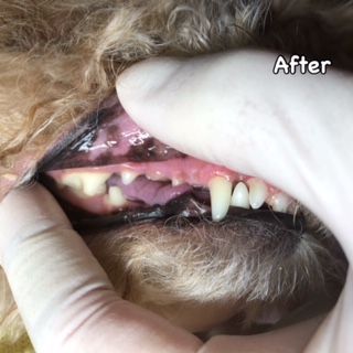 After After