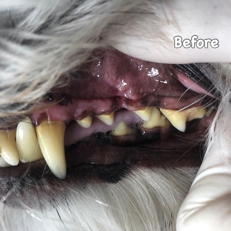 Before Before