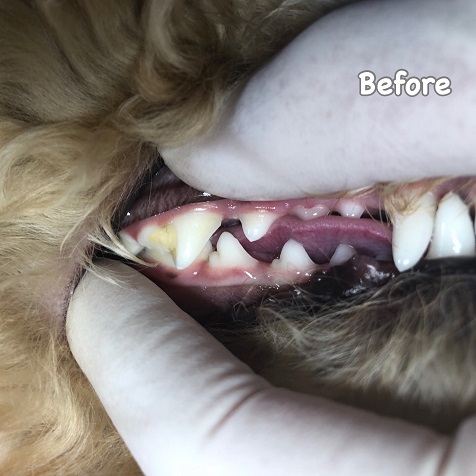 Before Before