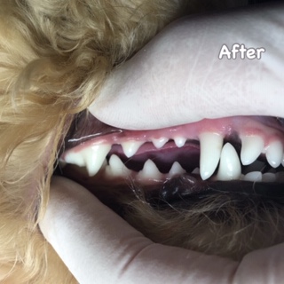 After After