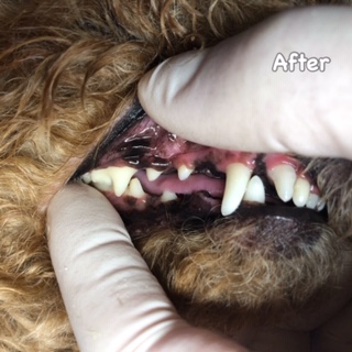 After After