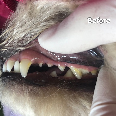 Before Before