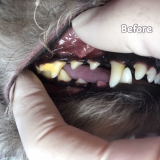 Before Before