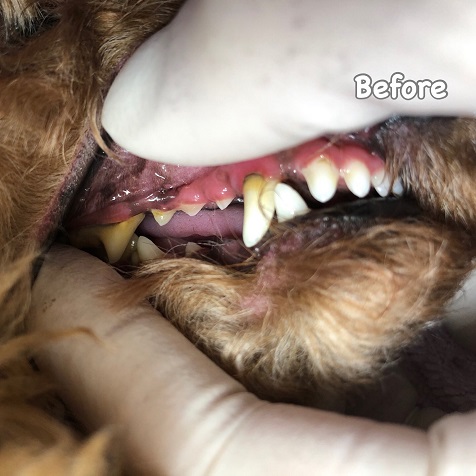 Before Before