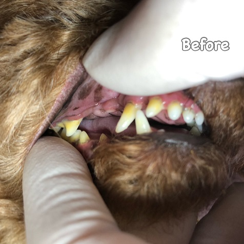 Before Before
