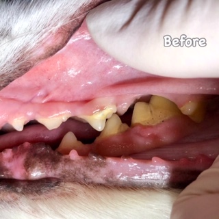 Before Before
