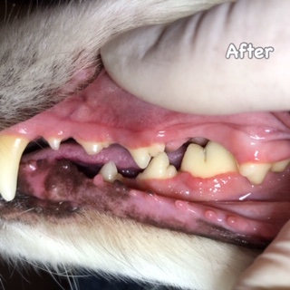 After After