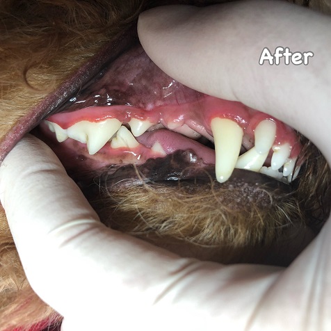 After After