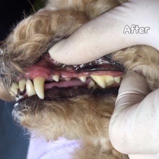 After After