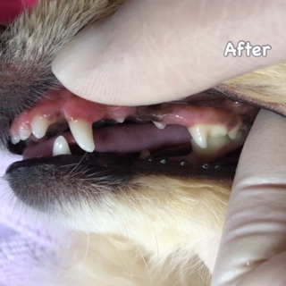 After After
