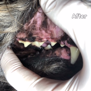 After After