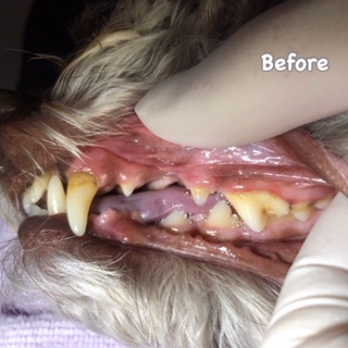 Before Before
