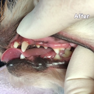 After After