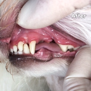 After After