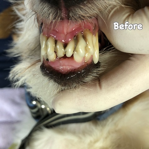 Before Before