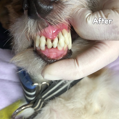 After After