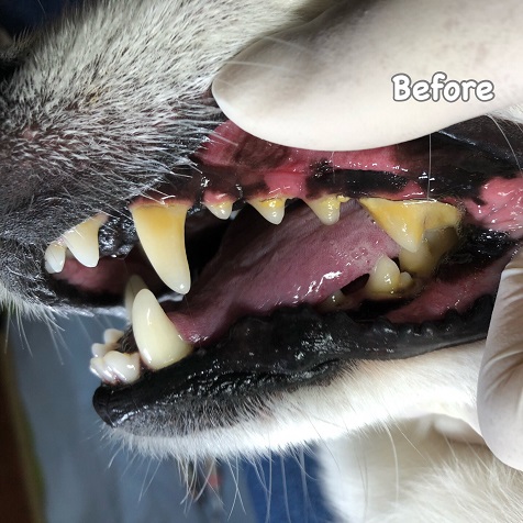 Before Before