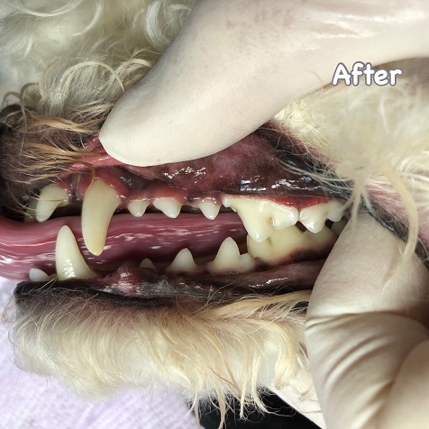 After After