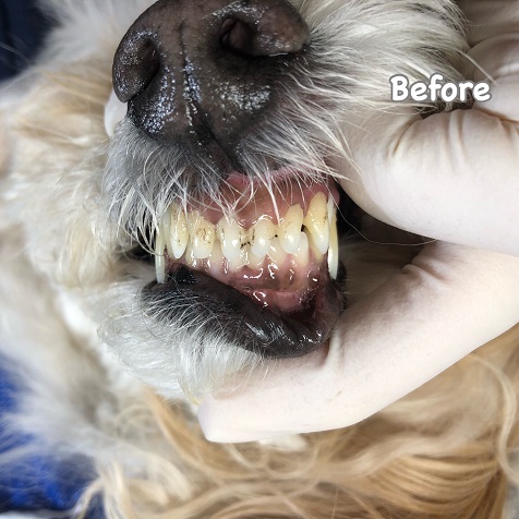 Before Before